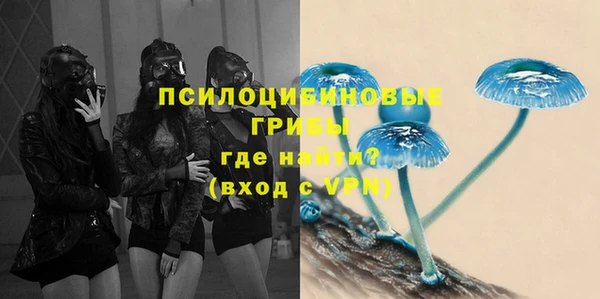 ECSTASY Богородицк